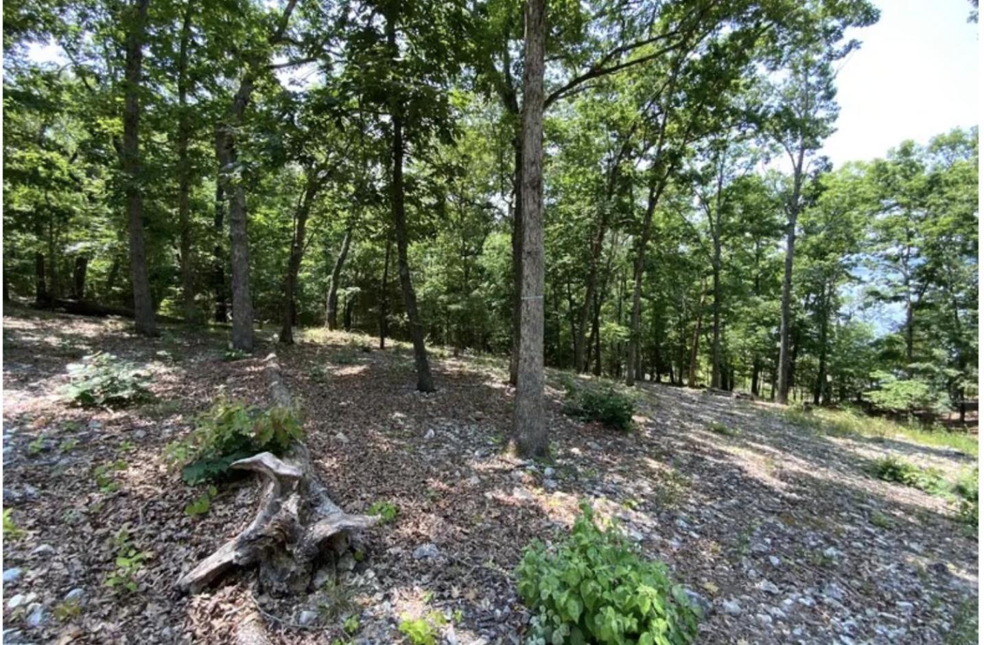 Driftwood Resort Bull Shoals Eksteriør billede