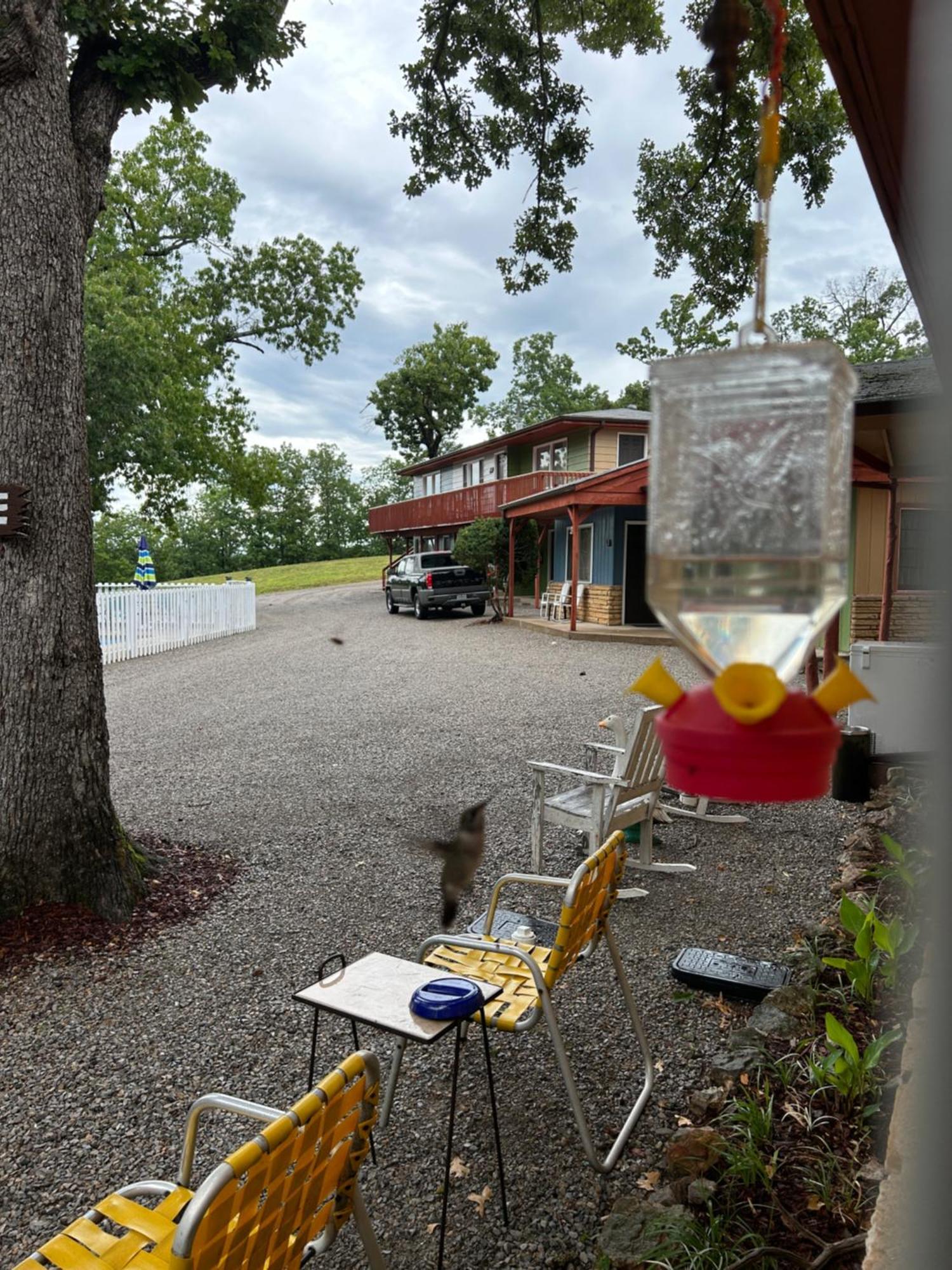 Driftwood Resort Bull Shoals Eksteriør billede